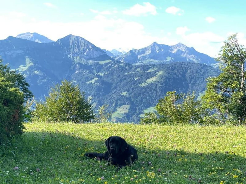 Apartment im 4-Sterne Berghotel über Interlaken-Thunersee, Beatenberg, Switzerland