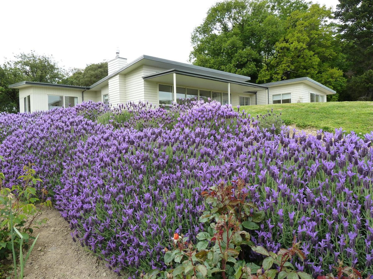 L'abri Bed and Breakfast, New Zealand