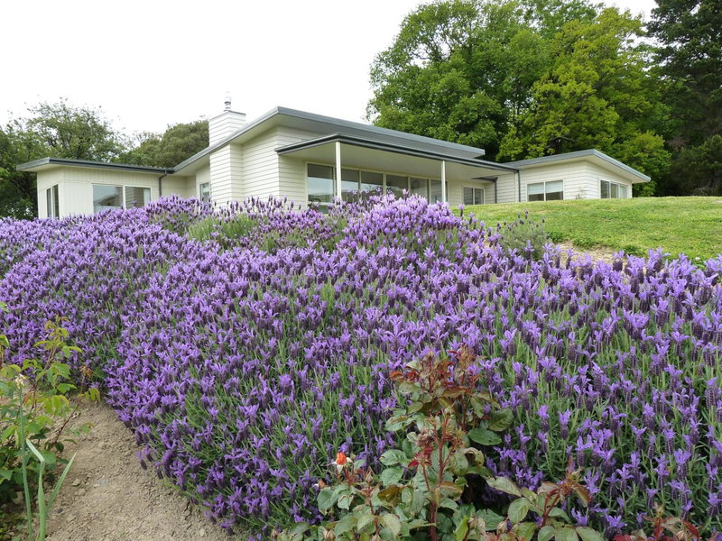 L'abri Bed and Breakfast, Akaroa, New Zealand