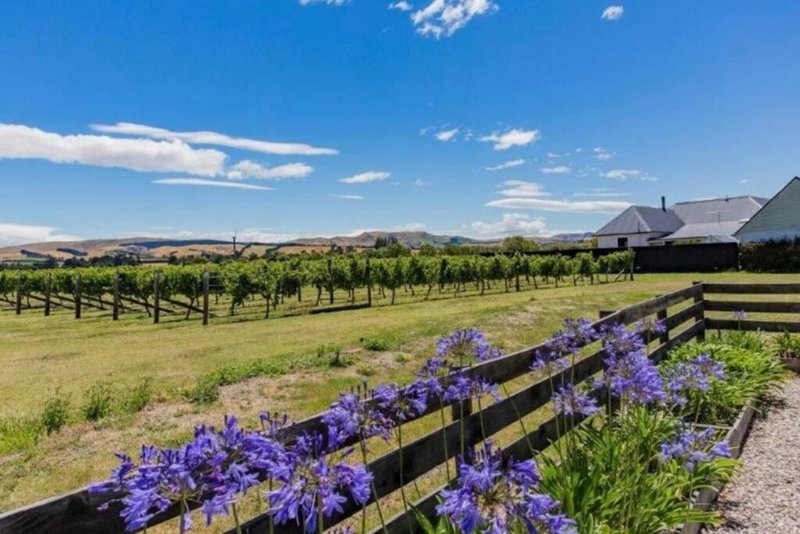 Cosy Cottage in the Vines, Waipara, New Zealand