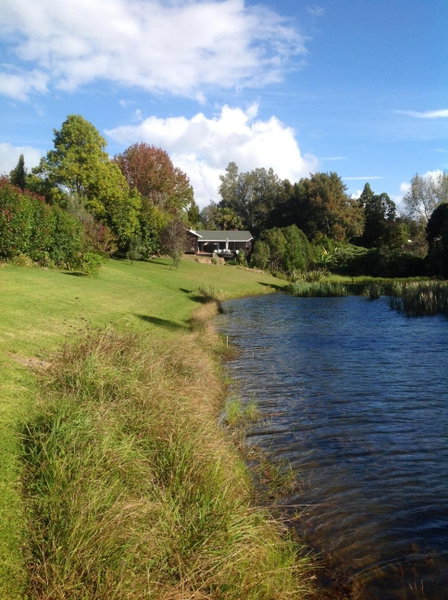 Lakehouse Studio, Kerikeri, New Zealand
