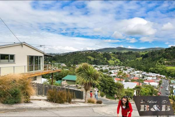 Sleep on the Steepest Street in the World!, New Zealand
