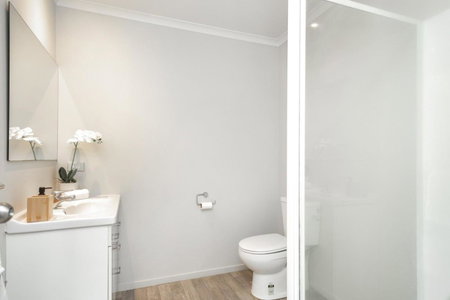 2 Bedroom house in Hamilton Central, Hamilton, New Zealand