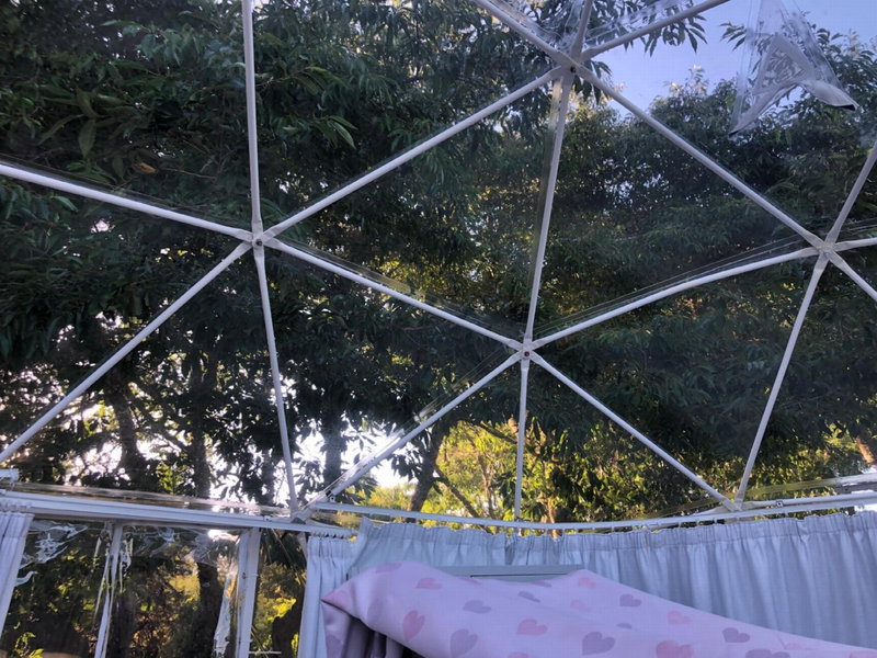 Flowerhaven - glamping dome, Hamilton, New Zealand