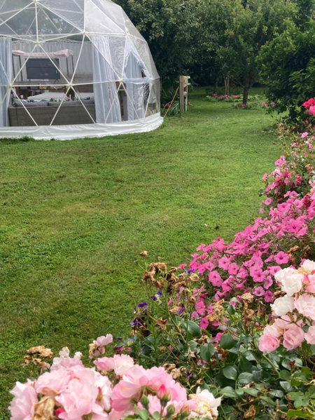 Flowerhaven - glamping dome, Hamilton, New Zealand