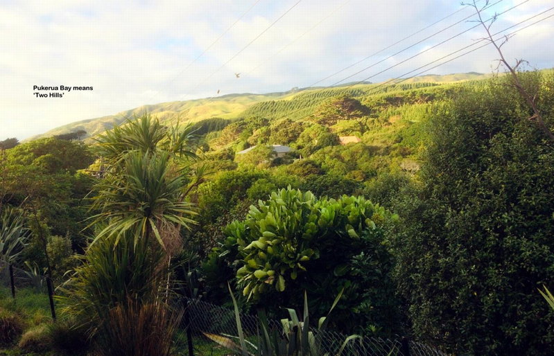 Peaceful Pukerua Bay, Pukerua Bay, New Zealand