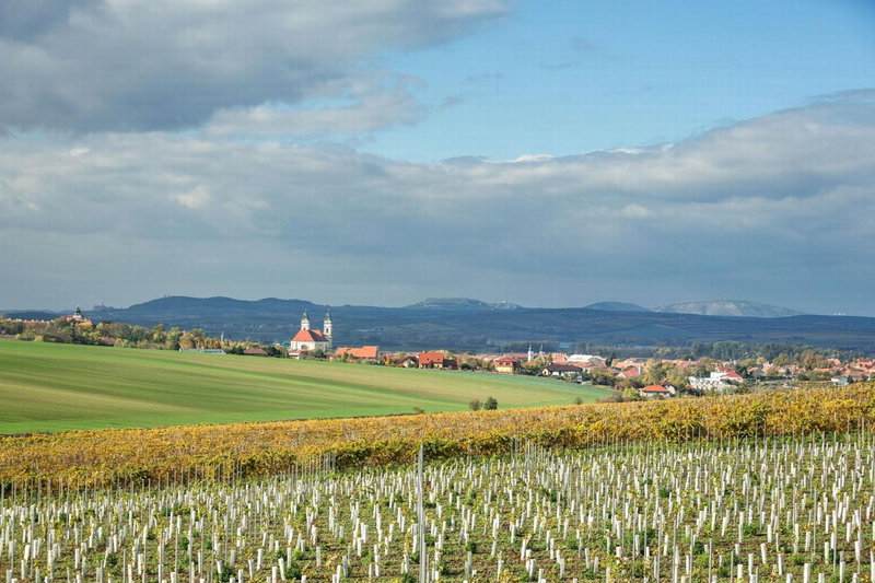 Vinařství Obelisk, Valtice, Czechia