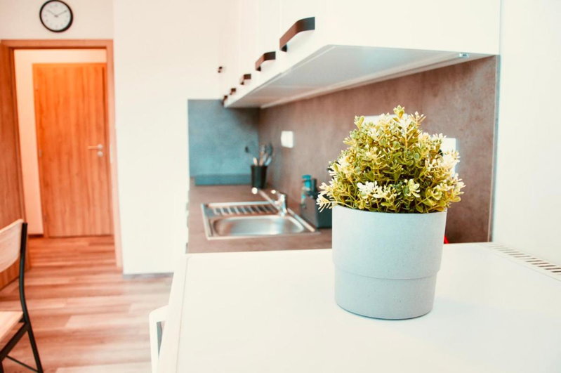 ZAROHEM 2 bedrooms APARTMENT in center with balcony, Brno, Czechia