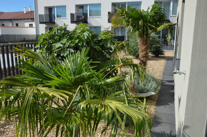 Palm Garden Apartment 2, Mikulov, Czechia