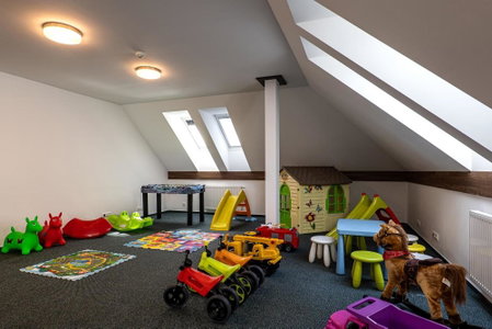 Wellness Hotel pod Kyčmolem, Horní Lomná, Czechia