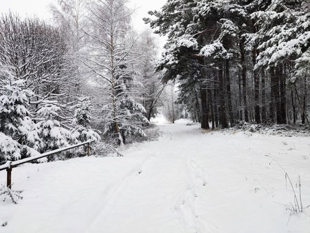 Matějovec 109 & Ubytování Na statku, Český Rudolec, Czechia