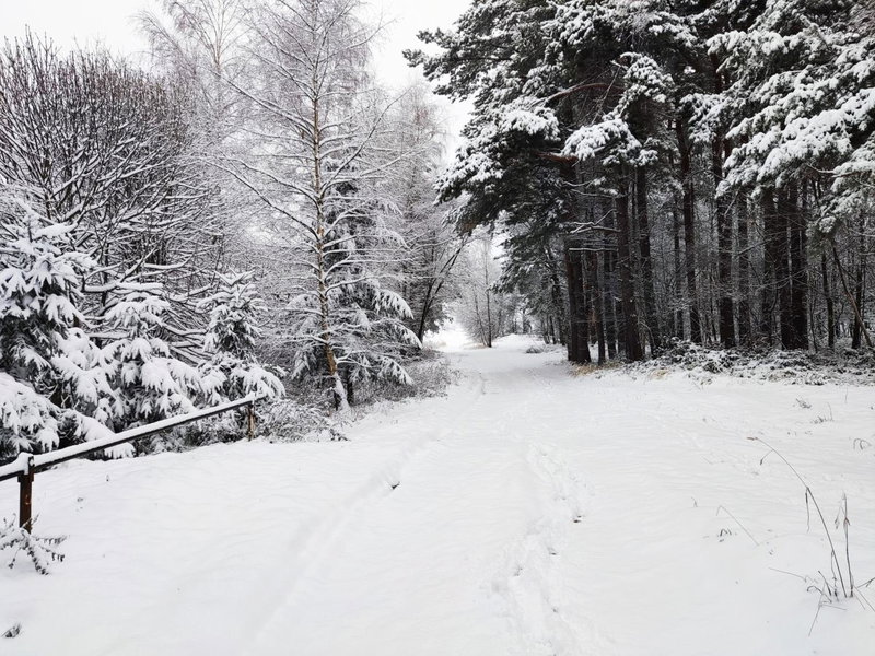 Matějovec 109 & Ubytování Na statku, Český Rudolec, Czechia