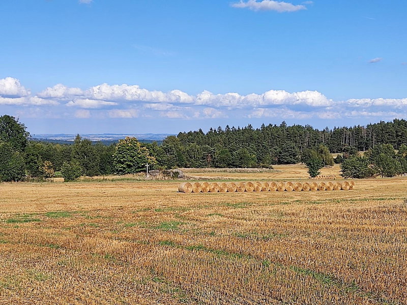 Matějovec 109 & Ubytování Na statku, Český Rudolec, Czechia