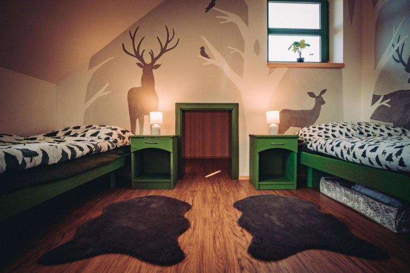Zelený Jelen - horský apartmán, Stachy, Czechia