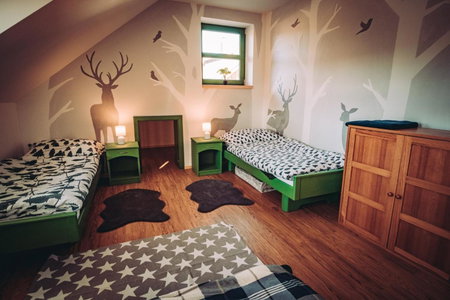 Zelený Jelen - horský apartmán, Stachy, Czechia