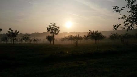 Domaine de La Noiseraie, Rhisnes, Belgium