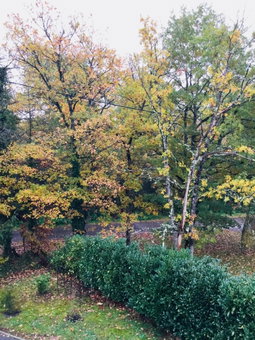 Le jardin des Biches, Somme-Leuze, Belgium