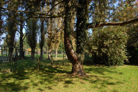 B&B Het Loonderhof, Borgloon, Belgium