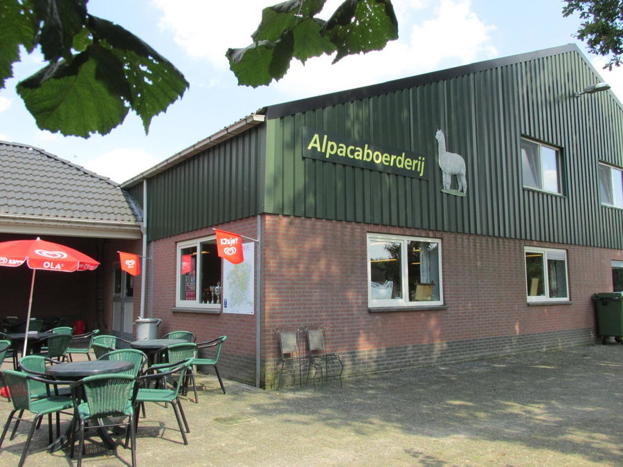De Alpacaboerderij, Bocholt, Belgium