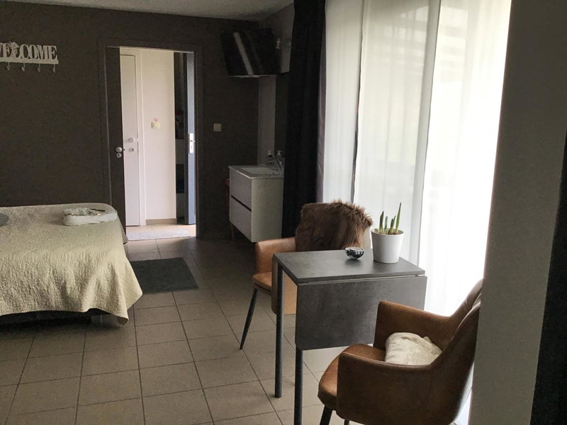 Studio Gardenroom Guesthouse De Steenberg met wellness & tuinzicht, Geel, Belgium