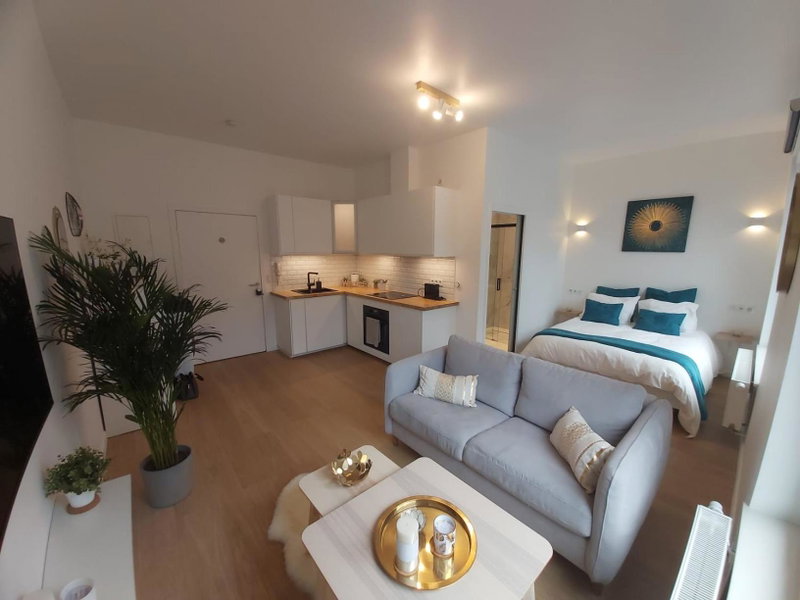 Logement luxueux dans le coeur de Bruxelles, Brussels, Belgium