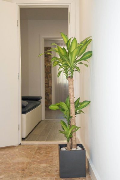 Luxury apartments Petrovac, Sinj, Croatia