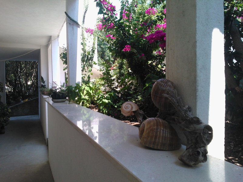 Guest House Radulj, Polače, Croatia