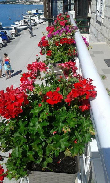 Apartment Andela, Kaštela, Croatia