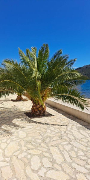 Vila Kika, Rogoznica, Croatia