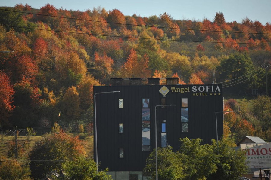 Hotel Angel Sofia, Fălticeni, Romania