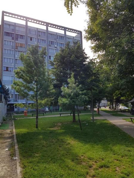 Studio Central, Piatra Neamţ, Romania
