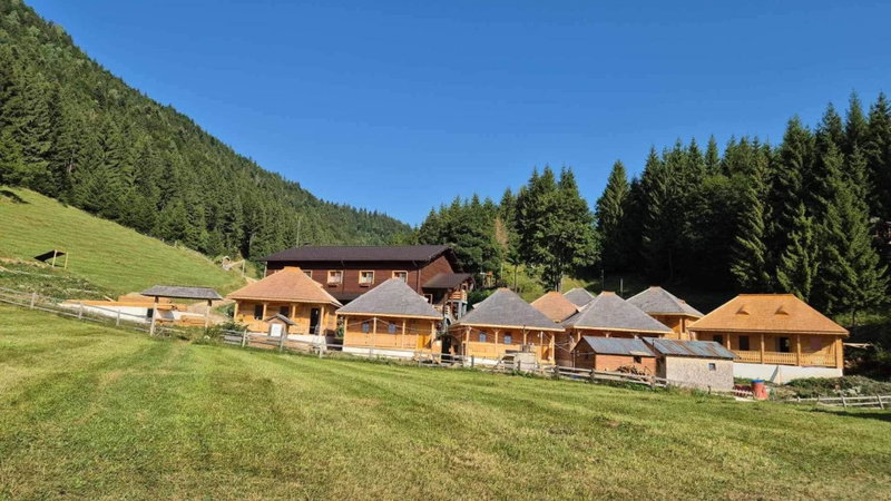Andolia, Moieciu de Sus, Romania