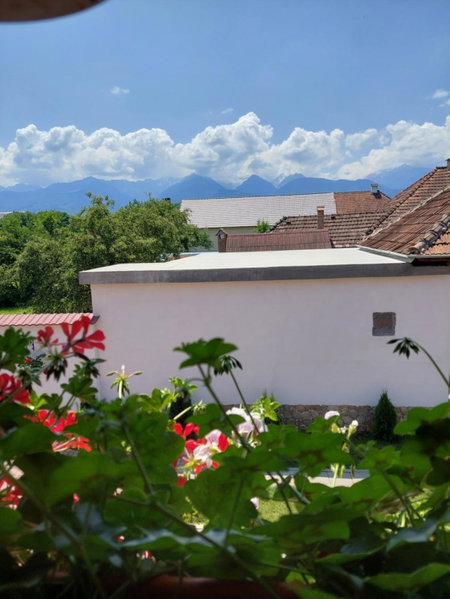 Casa Cristina, Cîrţişoara, Romania