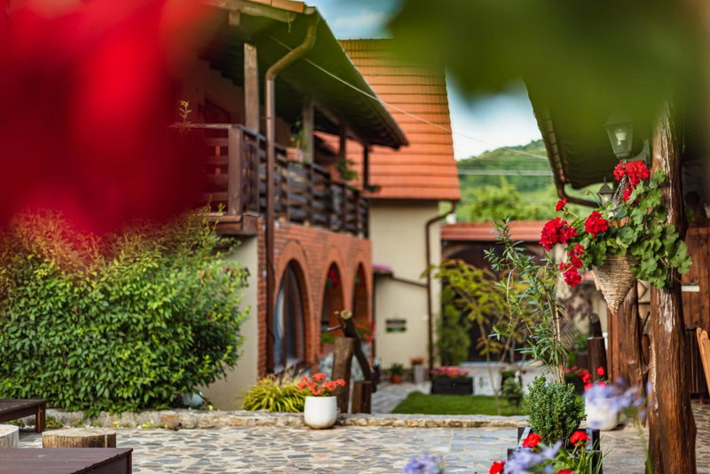 Casa Dives - Varianta Boierească, Pianu de Sus, Romania