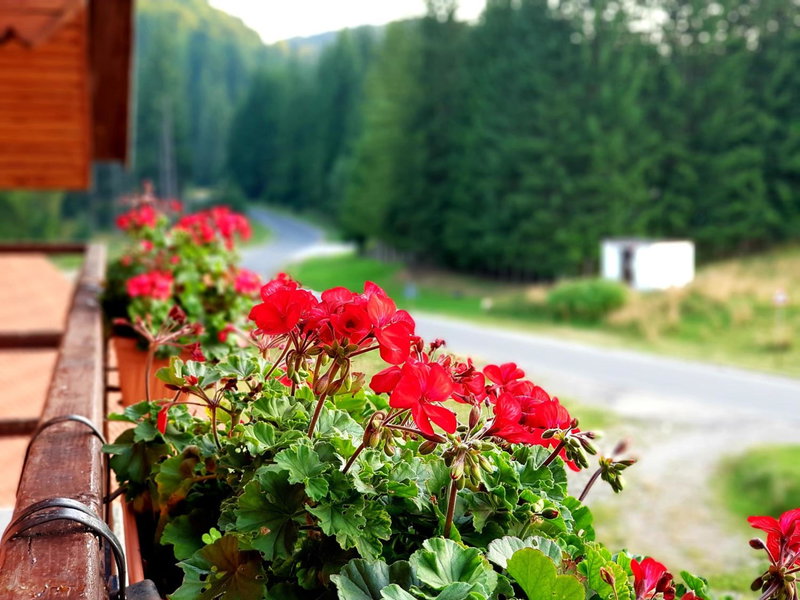 Top Mountain, Poiana Brasov, Romania