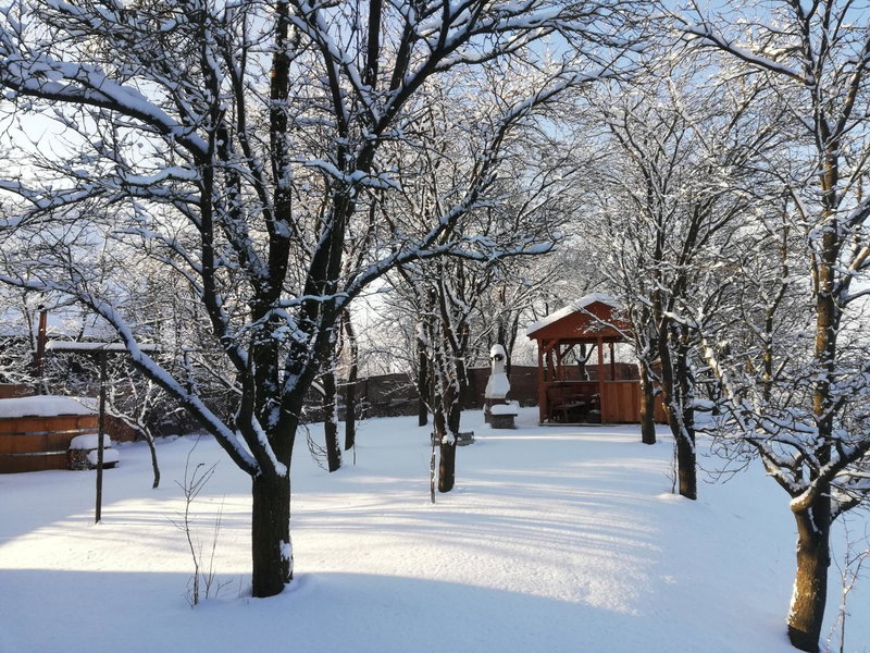 Drevenica Silvia, Liptovský Mikuláš, Slovakia
