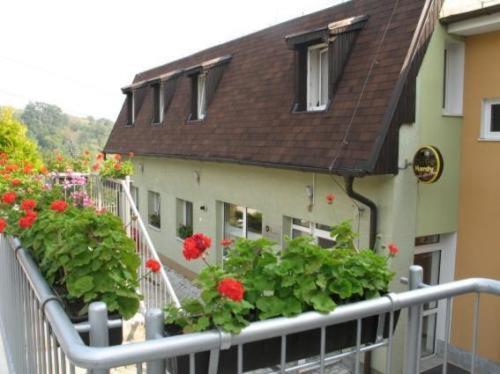 Pension Zlata Noha, Bratislava, Slovakia