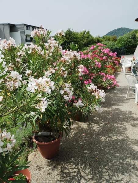 Apartmany Fantagiro, Kaluža, Slovakia