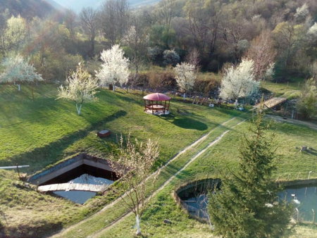 Bungalows Zdravets, Berkovitsa, Bulgaria
