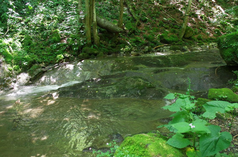 Семеен Хотел Вит, Teteven, Bulgaria