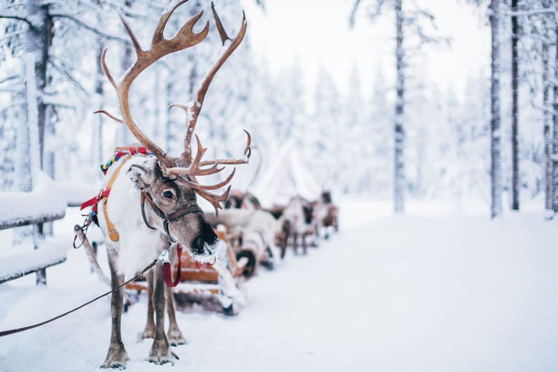 Arctic Panorama Resort, Rovaniemi, Finland