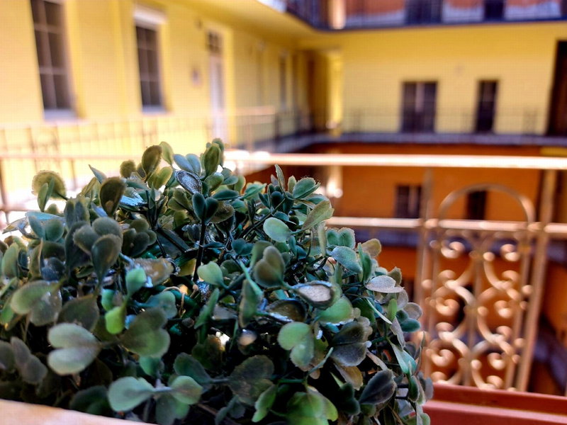 Gecko Centrum Apartman Budapest, Budapest, Hungary