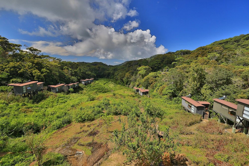 Hotel · The Rainforest Ecolodge, Kotapola