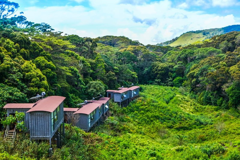 The Rainforest Ecolodge, Kotapola, Sri Lanka