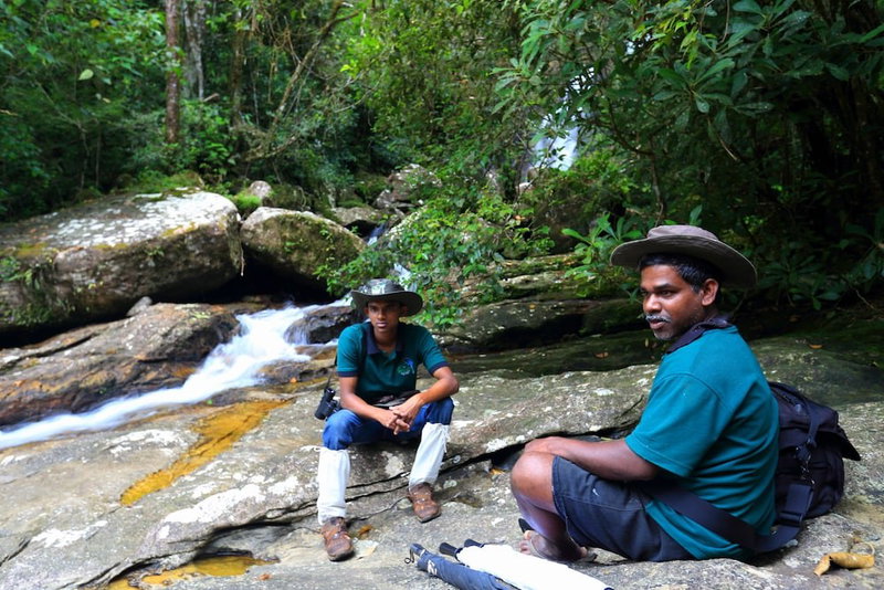The Rainforest Ecolodge, Kotapola, Sri Lanka