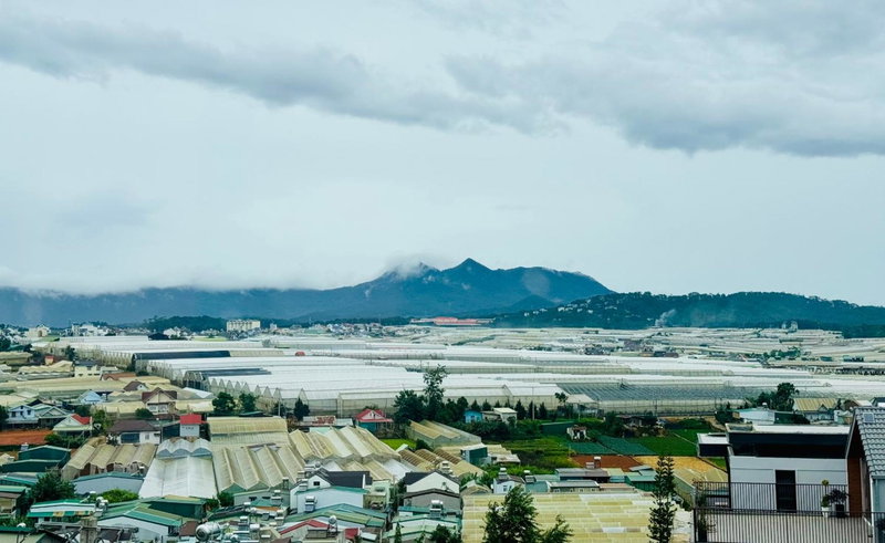 9 Inn - Staycation in Am Am Dalat, Khu Chi Lăng, Vietnam