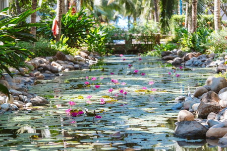 Le Palmier Ho Tram Resort - Beachfront with Private Beach, Ho Tram, Vietnam