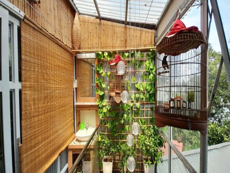 Green Homestay Ha Noi, Hanoi, Vietnam