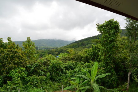 Pua Tranquil Vista Homestay, Pua, Thailand