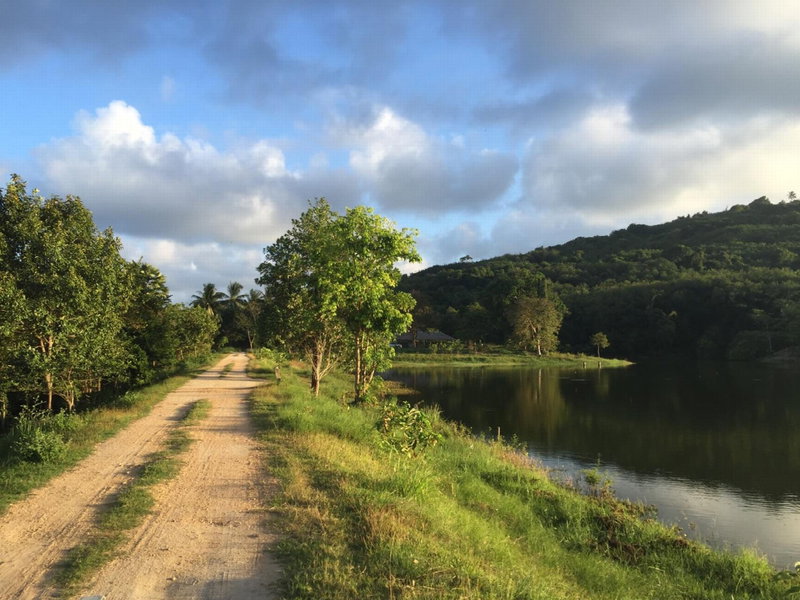 Thap Pala Cottage, Songkhla, Thailand